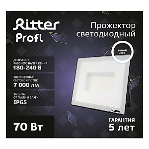 Прожектор уличный Ritter 53418 5